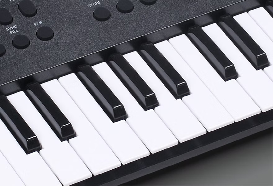 Medeli MK49 49Keys portable sensitive touch arranger keyboard