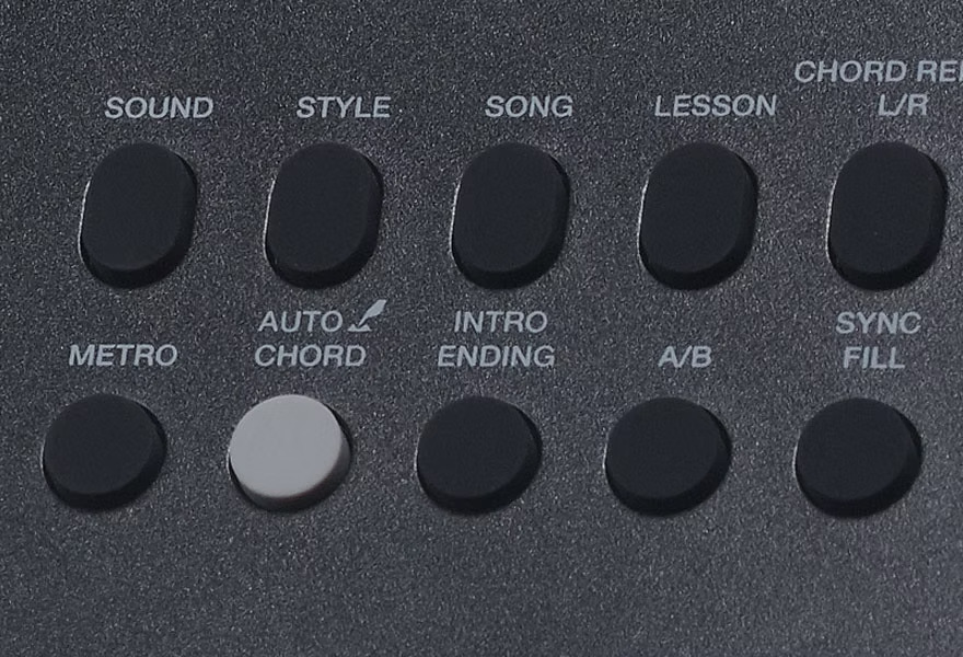 Medeli MK49 49Keys portable sensitive touch arranger keyboard