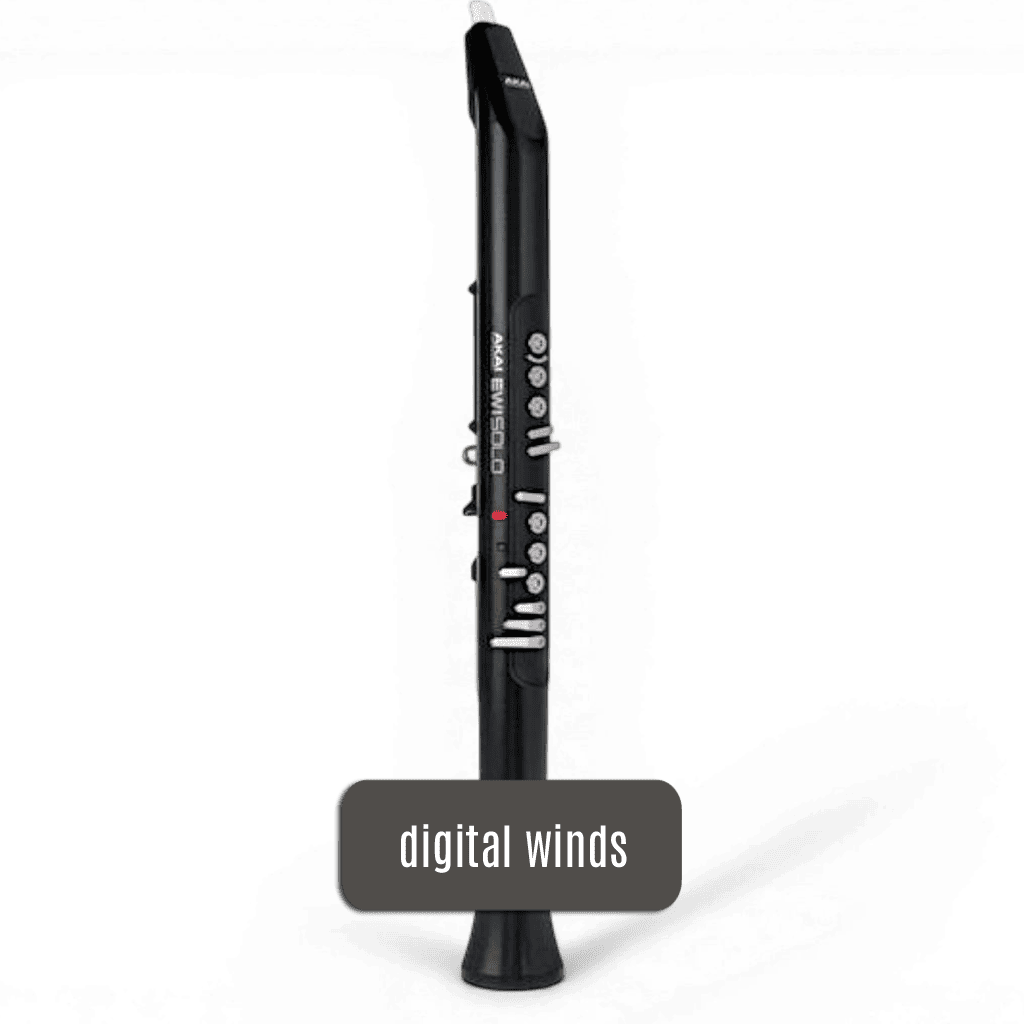 Digital Wind Players